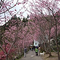 中巴陵櫻木花道(27).JPG