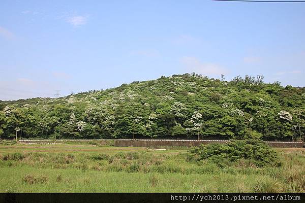 楓樹坑(1).JPG 楓樹坑(1).JPG