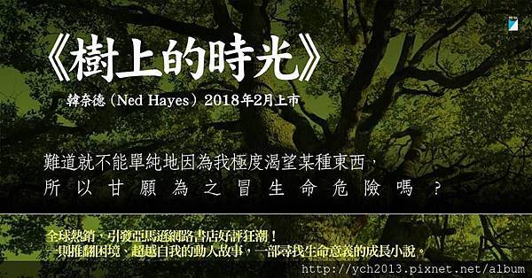 樹上的時光.jpg 樹上的時光.jpg