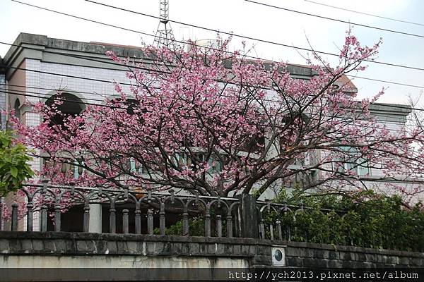 平菁街(1).JPG 平菁街(1).JPG