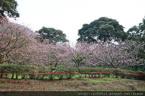 天元宮(1).JPG 天元宮(1).JPG