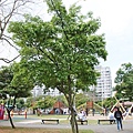 (2)林口運動公園.JPG