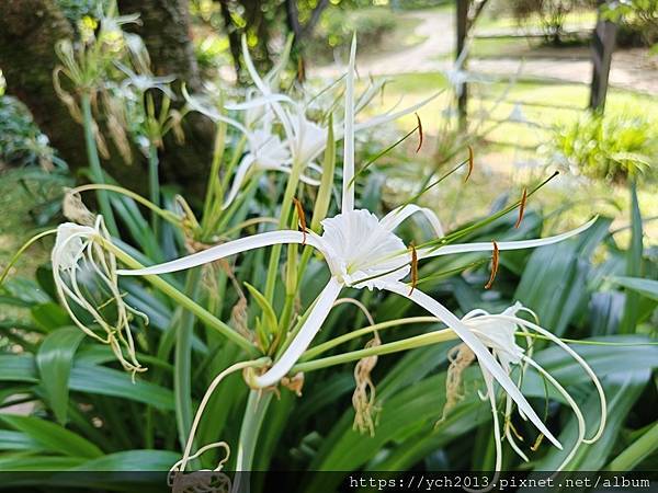 花卉中心(19).jpg