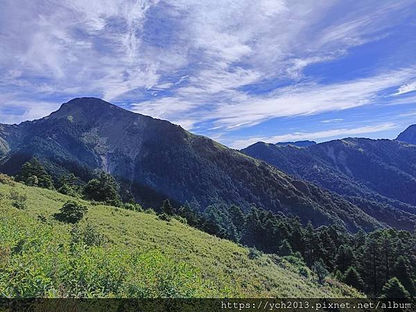 南投景點／合歡山前哨／鳶峰、昆陽、武嶺賞七月高山草花