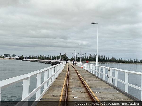 巴瑟爾頓長堤Busselton Jetty搭小火車出海