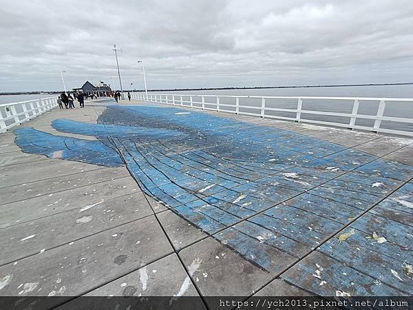 巴瑟爾頓長堤Busselton Jetty搭小火車出海