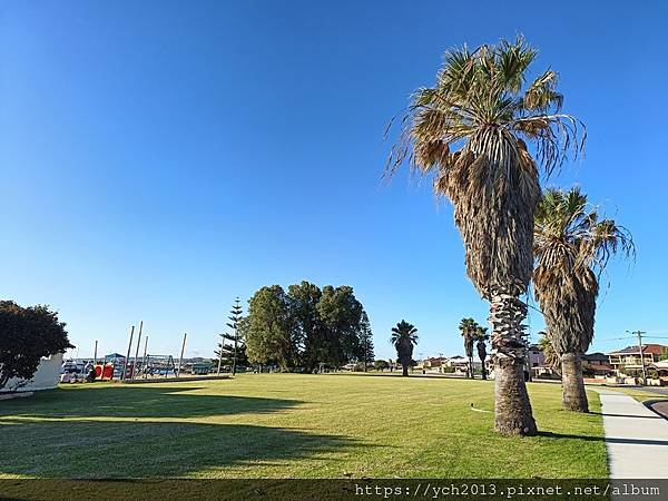 西澳旅遊／Denison港與風剪樹