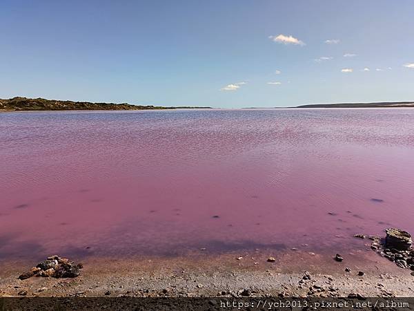 西澳Port Gregory 絕美粉紅湖Hutt Lagoo