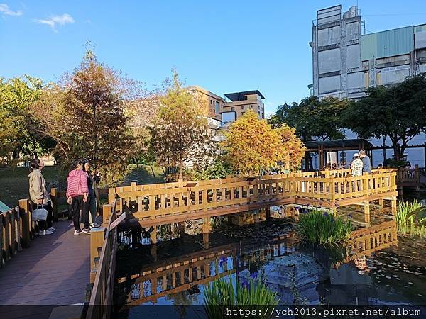 新北新莊幸福站景點／走三分鐘即可賞落羽松／頭前運動公園