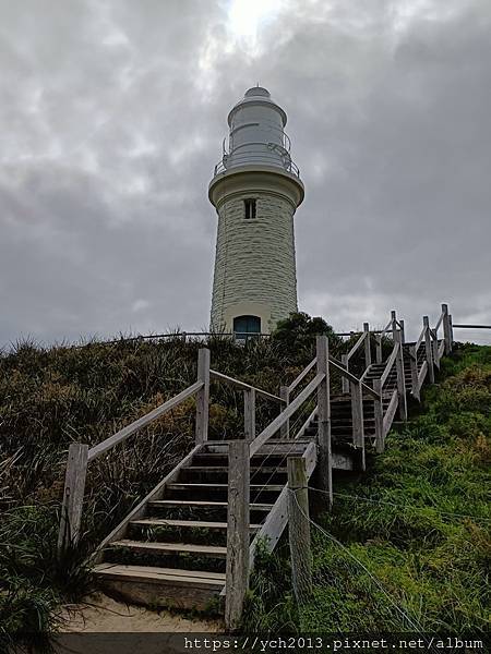 西澳伯斯離島羅特尼斯島Rottnest Island漫步／遇