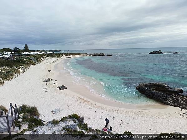 西澳伯斯離島羅特尼斯島Rottnest Island漫步／遇