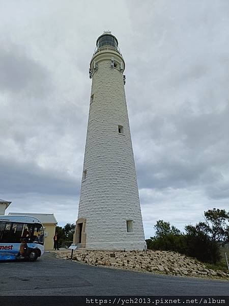 公車環遊羅特尼斯島，欣賞島上風光與美麗的海岸