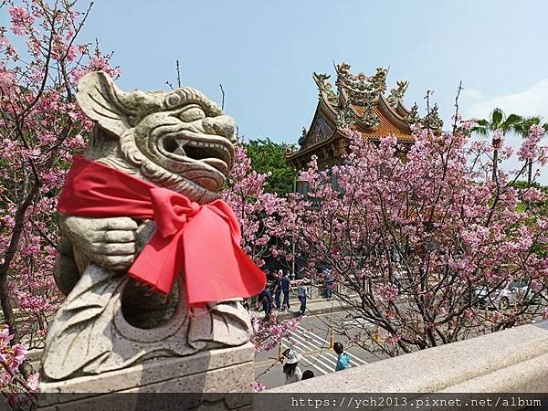 新北林口竹林山觀音寺祈福賞櫻