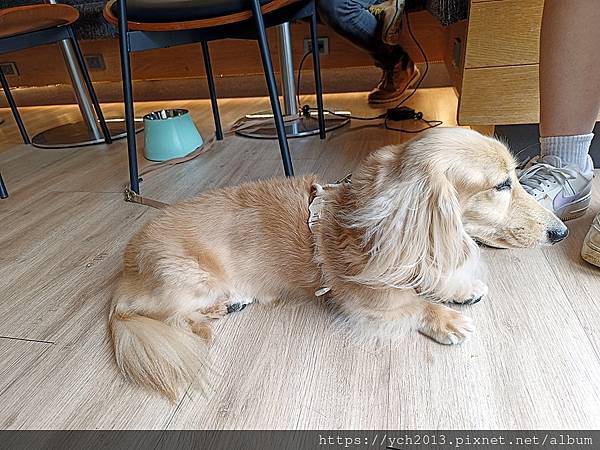 台北咖啡廳推薦/波赫士領地精品咖啡館BorgesPlace昌 台北咖啡廳推薦/波赫士領地精品咖啡館BorgesPlace昌