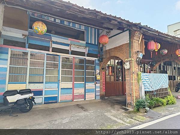 新竹關西仙草節