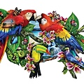 95278parrotsinparadisecat-600x600.jpg