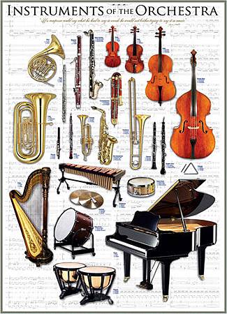 Orchestra Instruments1410EUR.jpg