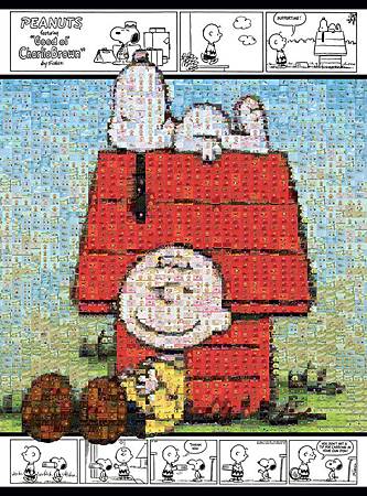 Snoopy and Charlie Brown1393BG.jpg Snoopy and Charlie Brown1393BG.jpg