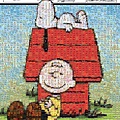 Snoopy and Charlie Brown1393BG.jpg