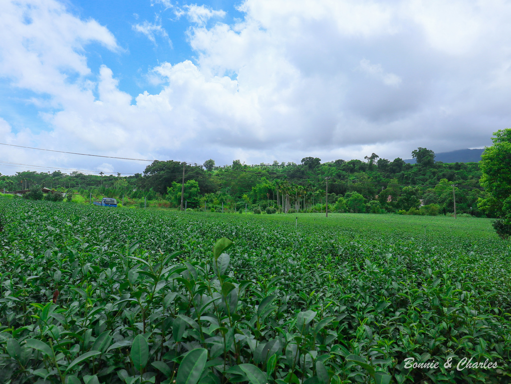 IMG_6380.jpg IMG_6380.jpg