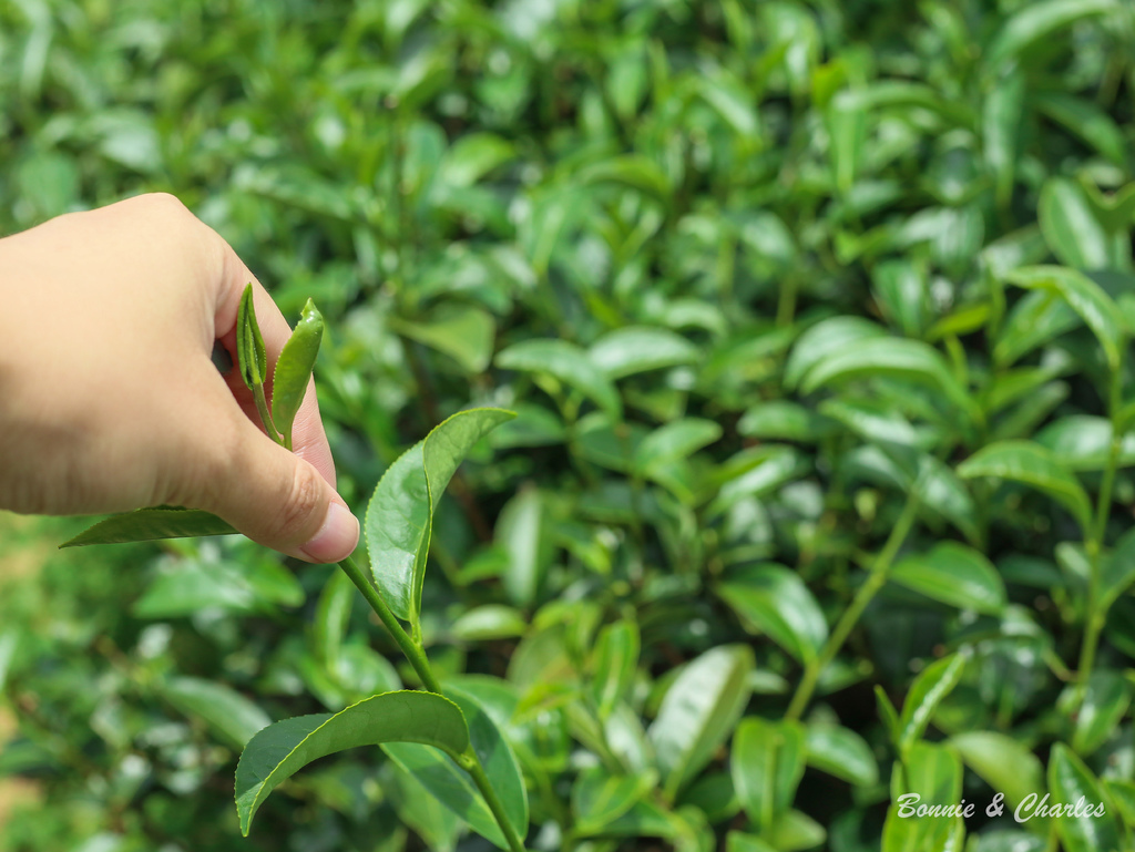 IMG_6410.jpg IMG_6410.jpg