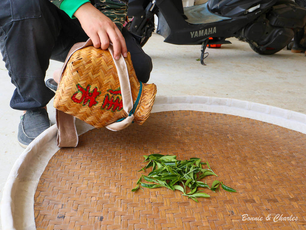 IMG_6412.jpg IMG_6412.jpg