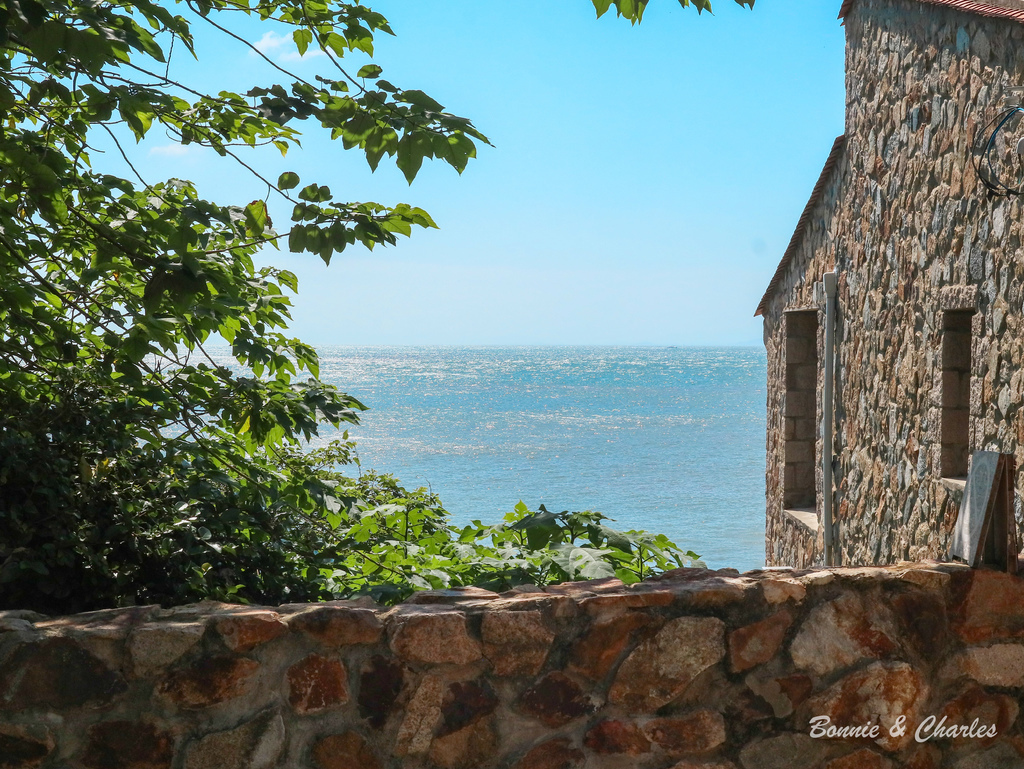 IMG_8092.jpg IMG_8092.jpg