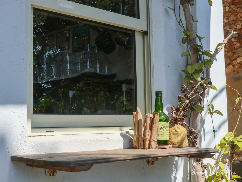 IMG_8102.jpg IMG_8102.jpg