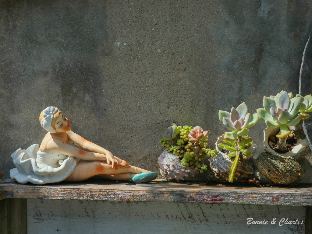 IMG_8104.jpg IMG_8104.jpg