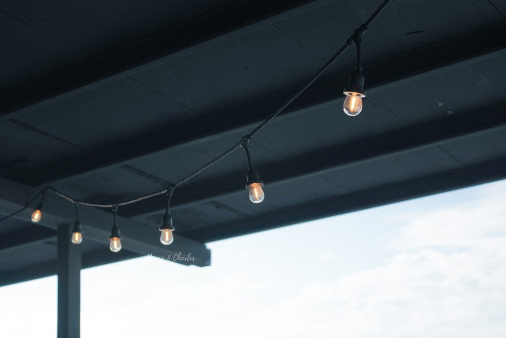 DSC02342.jpg DSC02342.jpg