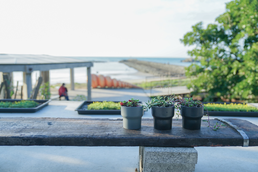 DSC02340.jpg DSC02340.jpg