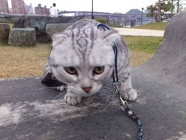 20121028_今天在陽光運動園區蠻害怕的