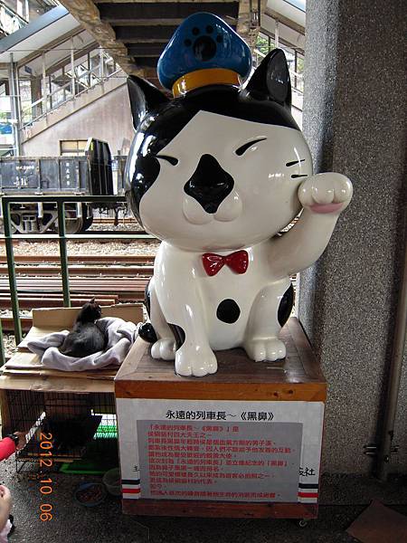 侯硐車站的列車長 - 黑鼻(已故), 左邊籠子裡是小幼貓, 上面應該是貓媽媽