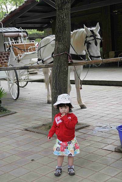 IMG_2875.jpg IMG_2875.jpg