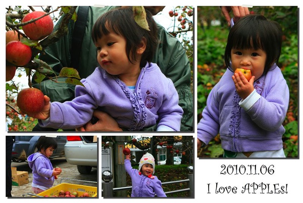 101106 福壽山摘蘋果.001_resize.jpg 101106 福壽山摘蘋果.001_resize.jpg