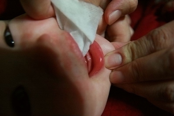 IMG_7454_resize.jpg IMG_7454_resize.jpg