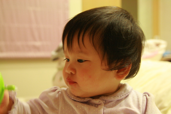 IMG_7968.JPG IMG_7968.JPG