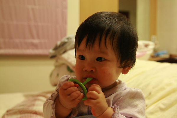 IMG_7970.JPG IMG_7970.JPG