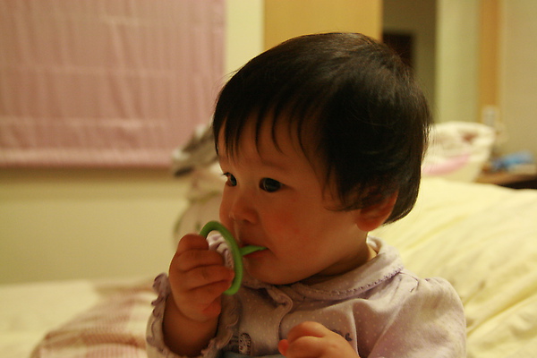 IMG_7971.JPG IMG_7971.JPG