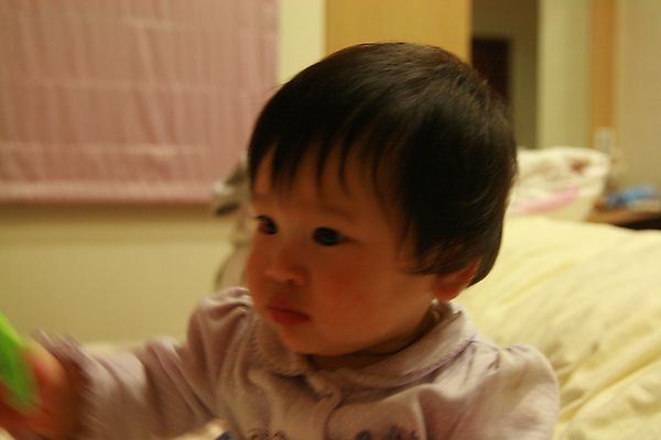 IMG_7972.JPG IMG_7972.JPG