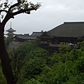 雨中的清水寺