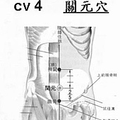 關元穴A.jpg