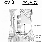 CV3　中極穴.jpg