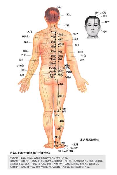 07-足太陽膀胱經穴位