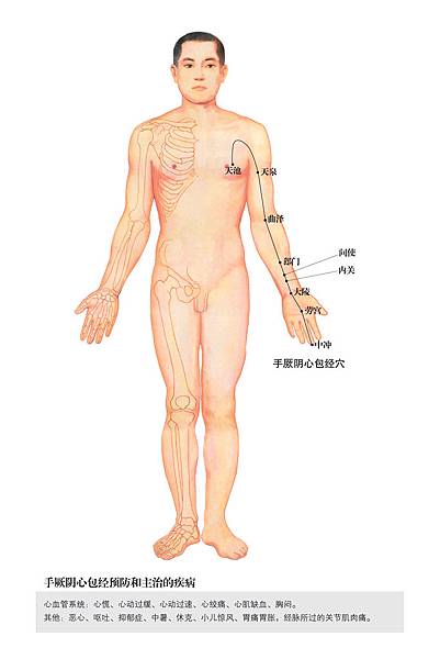 09-手厥陰心包經穴位