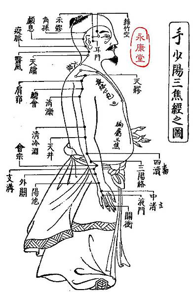 發揮-A10-手少陽三焦經﹝SJ﹞之圖