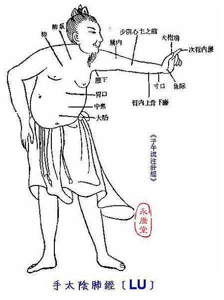 子午針經-01手太陰肺經﹝LU﹞