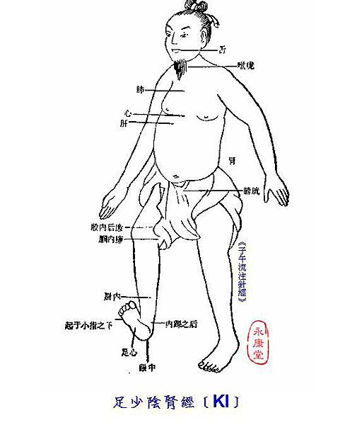 子午針經-08-足少陰腎經﹝KI﹞