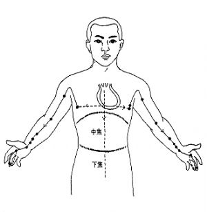 子午09-手厥陰心包經﹝PC﹞A