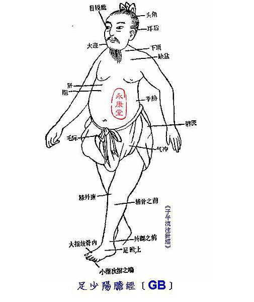 子午針經-11-足少陽膽經﹝GB﹞